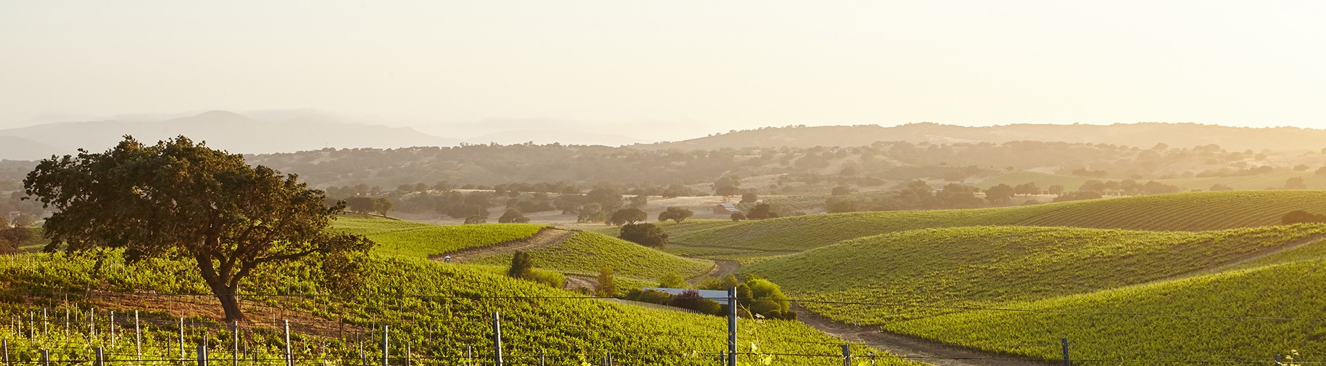 Paesaggio campagne umbre