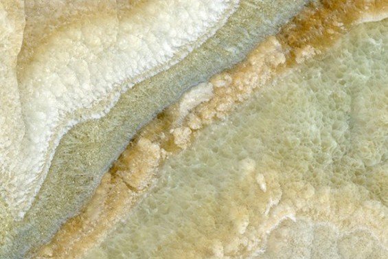 Onice miele