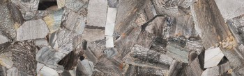 jasper shellflint