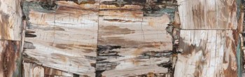 petrified wood retro leather finish